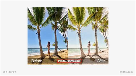 Preset Free Summer