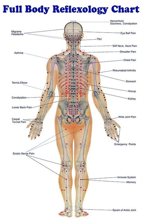 Pressure Points Body Chart