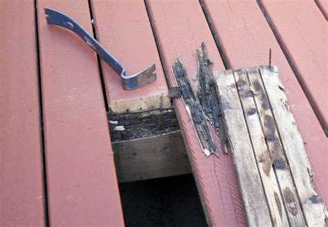 Prevent Bare Wood from Deteriorating