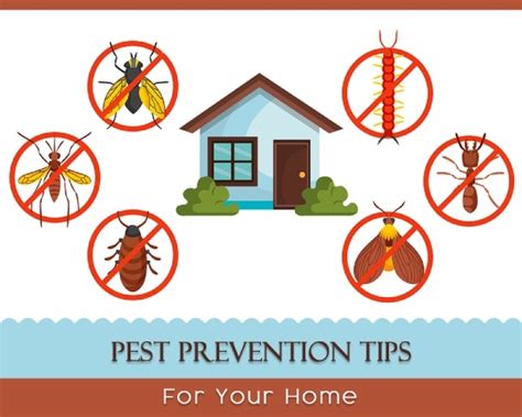 Prevent pest problems with a well-maintained lawn