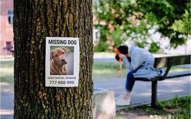 Preventing Lost Pet