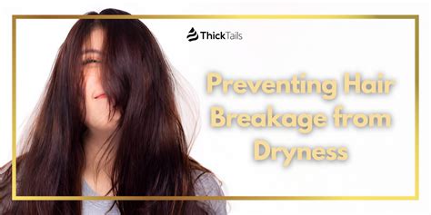 Preventing Breakage and Dryness