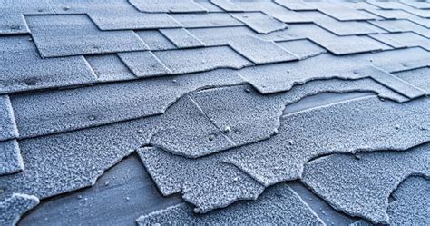 Preventing Future Damage: Tips for Keeping Your Roof in Good Condition