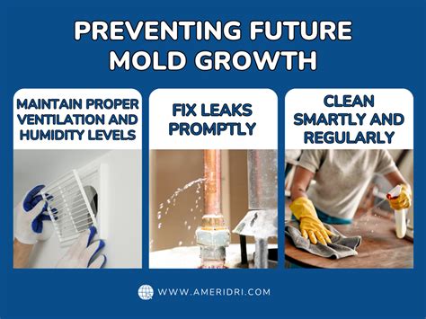 Preventing Future Mildew Growth
