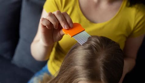 Preventing Lice Infestations: Tips and Tricks
