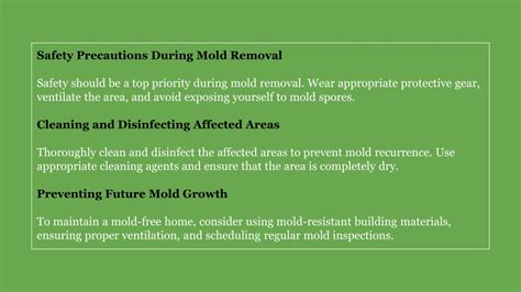 Preventing Mold Recurrence