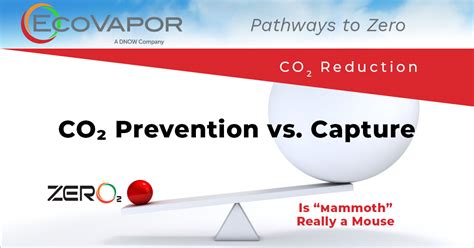 Prevention vs capture