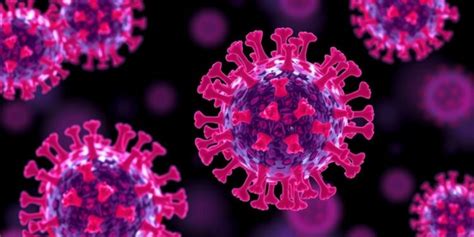 Previous Encounters and What to Expect