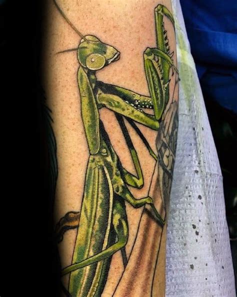 My New Preying Mantis Tattoo by Sean Williams at Amulet