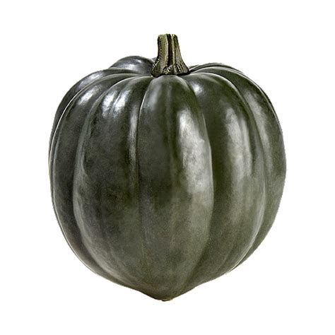 White Acorn Squash 38 lbs – COOSEMANS HOUSTON INC.