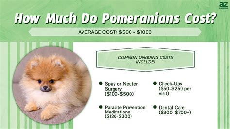 Prices For Puppies