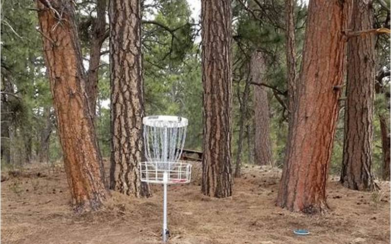 Prickly Pines Disc Golf Course Features