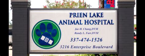 Prien Lake Animal Hospital: The Top Veterinary Care Destination for Your Beloved Pets!