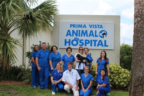Prima Vista Animal Hospital - Providing Top-Notch Pet Care Services in [Location]