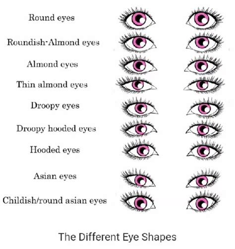 Primary Types of Eye Places You Should Know