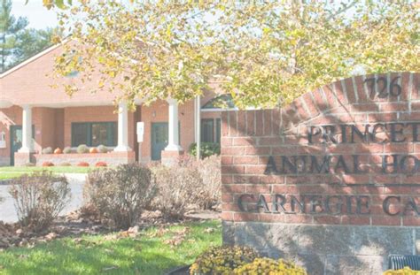 Princeton Animal Hospital & Carnegie Cat Clinic - Exceptional Pet Care Services | Trustworthy Veterinary Experts
