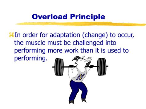 Unleashing the Power of Fitness: Decode the Principle of Overload for Optimum Results!