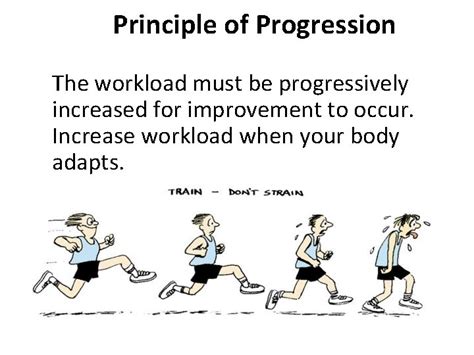 Breaking the Barrier: Understanding the Principle of Progression in Fitness Training
