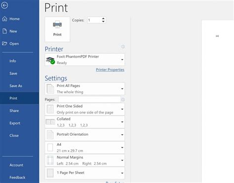 Print Your Document