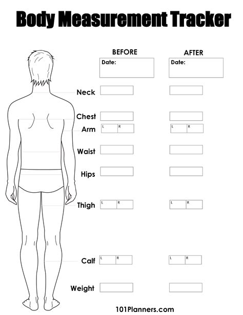 Body Measurements Chart Template Excel Templates