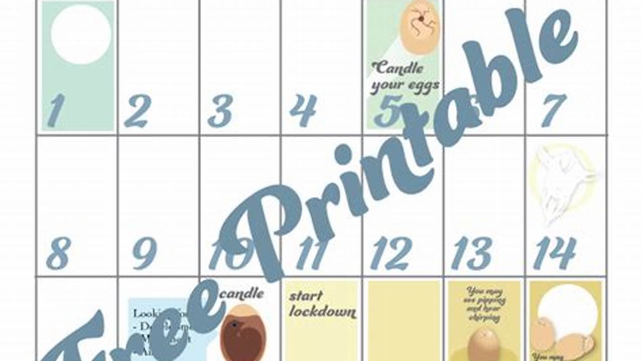 Printable Chicken Hatching Calendar