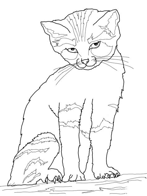 Printable Coloring Page Cat