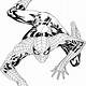 Printable Coloring Pages Spiderman