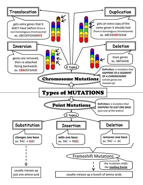 th?q=Printable%20DNA%20mutation%20activity%20sheet - Printable Dna Mutation Activity Sheet: A Fun Way To Learn About Genetics