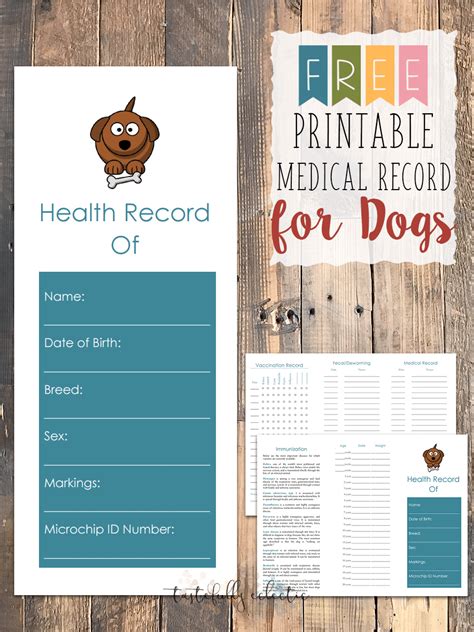 Printable Dog Health Record