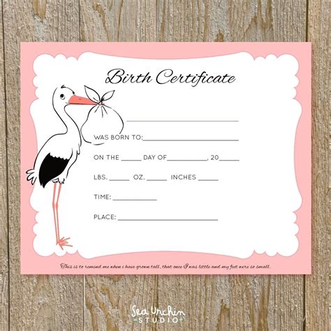 Printable Doll Birth Certificate