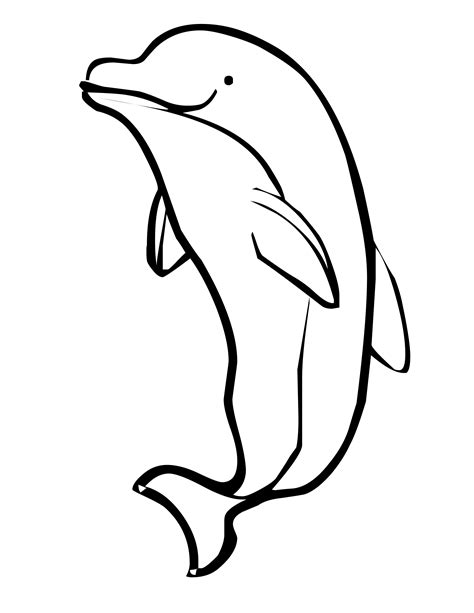Printable Dolphin Pictures To Color