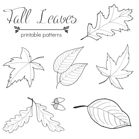 Printable Fall Leaf Patterns