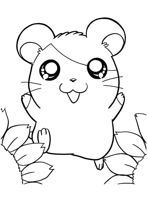 Printable Hamster Coloring Pages