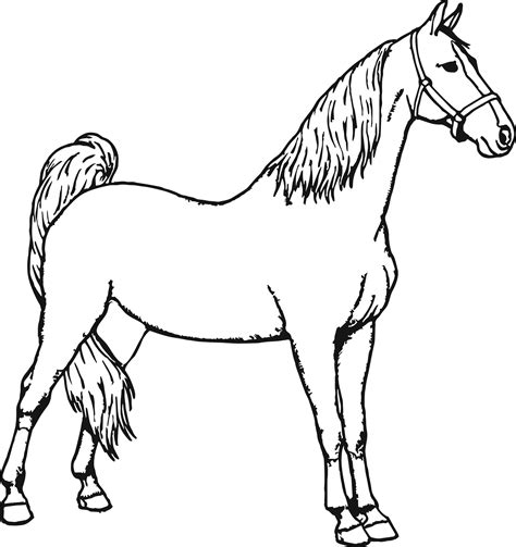 Printable Horse Coloring Sheets