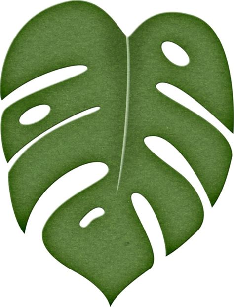 Printable Jungle Leaves Template