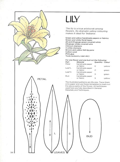 Printable Paper Lily Template