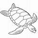 Printable Turtle Pictures