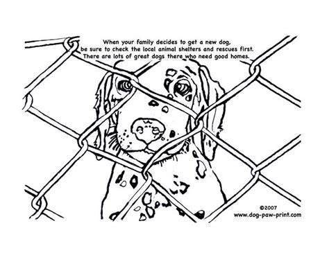 coloring_page_horse_cat_dog.jpg 514×684 pixels Cat coloring page