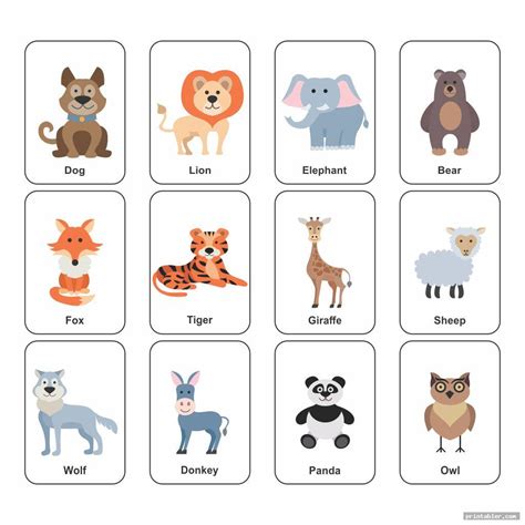 Printable Animal Flash Cards