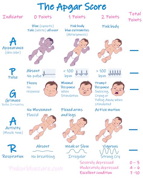 Printable Apgar Score Chart