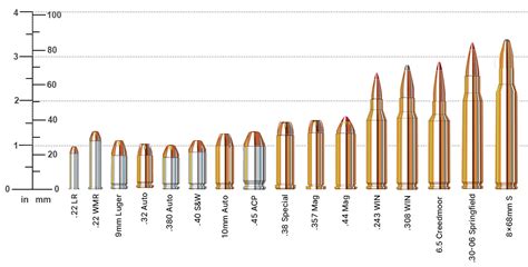 Printable Bullet Size Chart