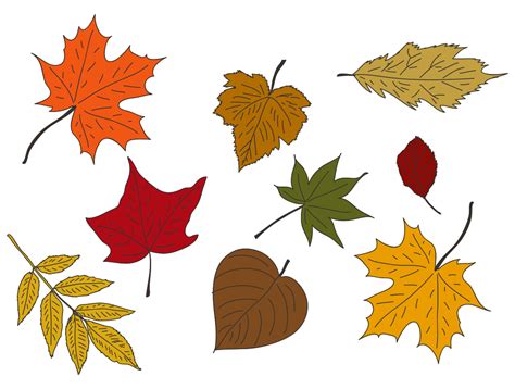 Printable Colored Fall Leaves