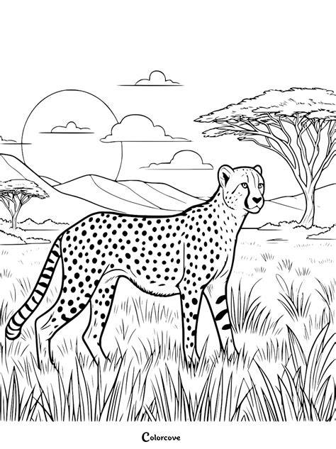 Printable Coloring Pages Cheetah