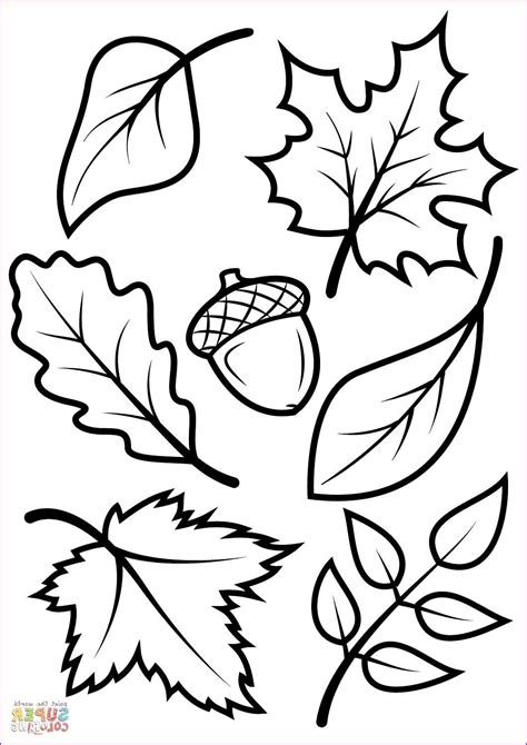 Printable Coloring Pages Fall Leaves