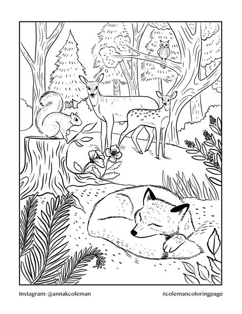 Printable Coloring Pages Forest Animals