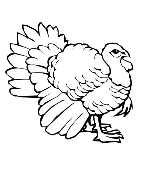 Printable Coloring Pages Of Turkeys