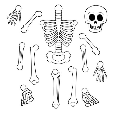 Printable Cut Out Skeleton