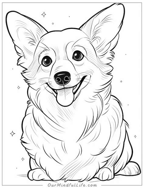 Printable Cute Corgi Pictures