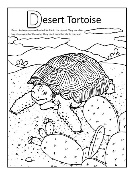 Printable Desert Animals Coloring Pages