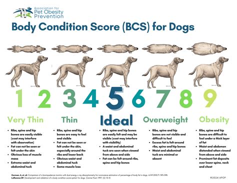 Printable Dog Body Condition Score Chart